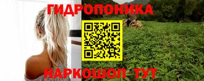PSILOCYBIN Гусиноозёрск