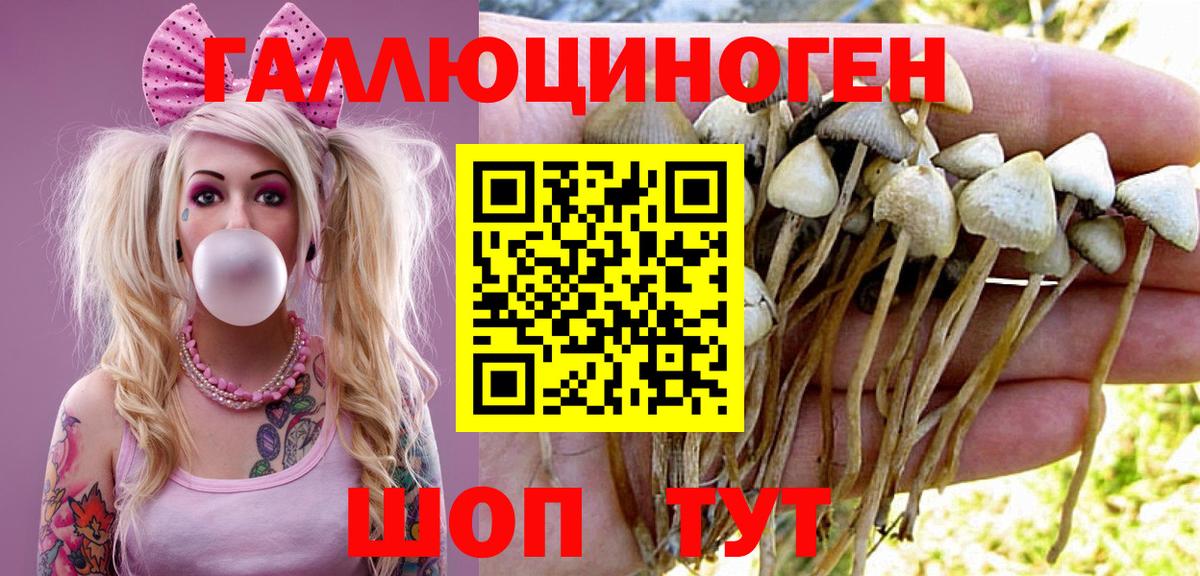 Киров  Псилоцибиновые грибы GOLDEN TEACHER  Вход с VPN 