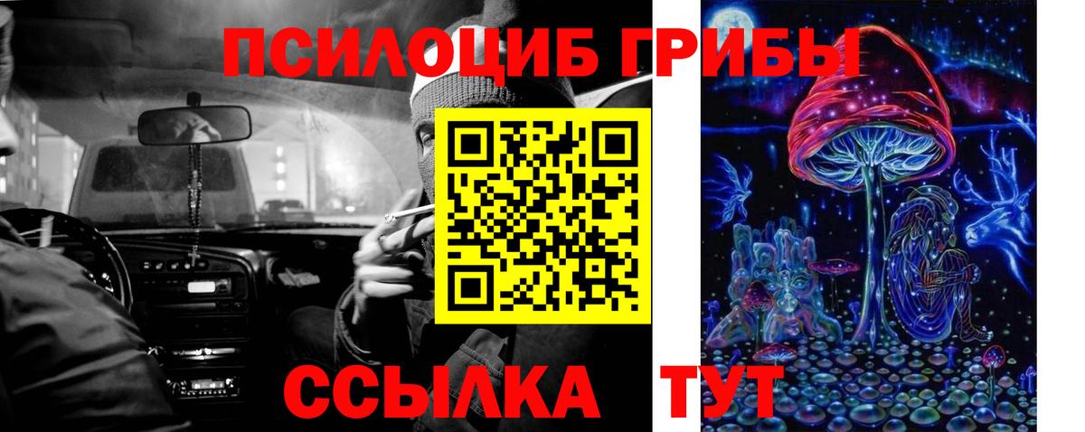 Галлюциногенные грибы MAGIC MUSHROOMS Киров